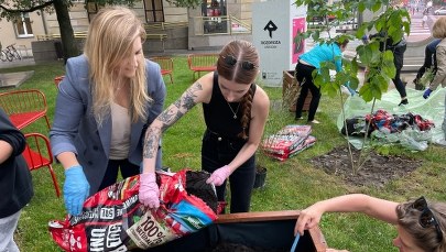 Zielony Zakątek w centrum Lublina. Młodzież za ochroną środowiska