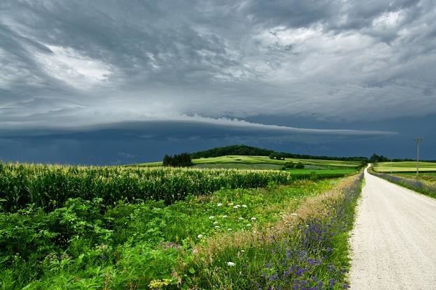 Ziemia rolna w Polsce należy do najszybciej drożejącej w Europie /&copy; Panthermedia