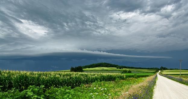 Ziemia rolna w Polsce należy do najszybciej drożejącej w Europie /&copy; Panthermedia