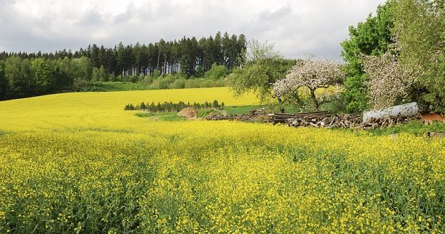 Ziemia to najlepsza inwestycja /&copy; Panthermedia