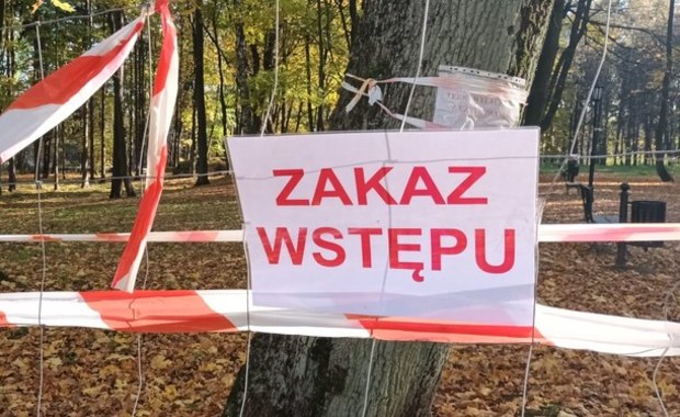 Ziemia zapadła się w Bolesławiu