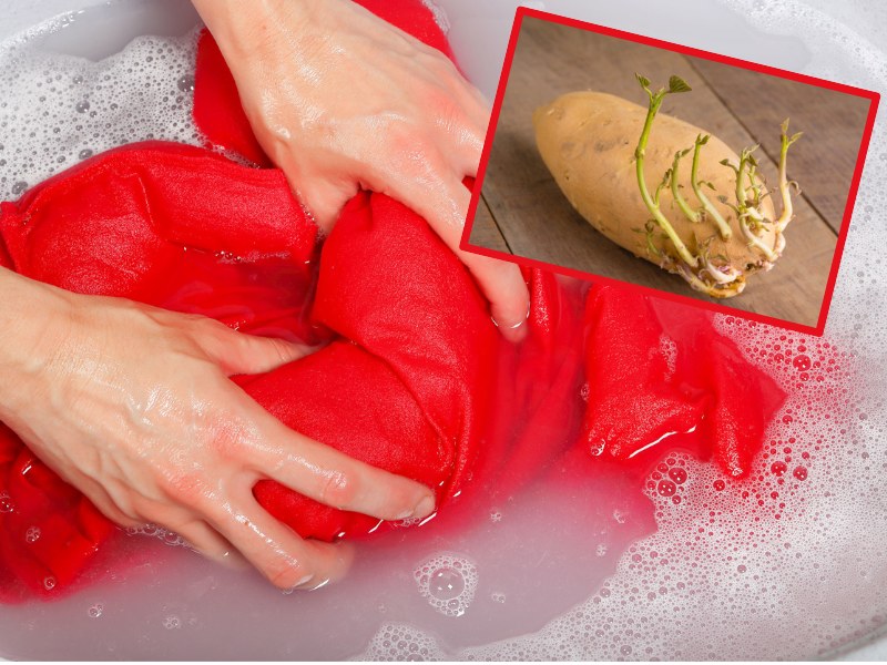 Ziemniak może przydać ci się również poza kuchnią. W łazience popularne warzywo wykorzystasz jako domowy odplamiacz /Pixel