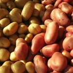 Ziemniak – warzywo niepospolite