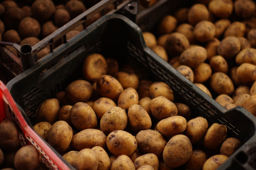 Ziemniaki powinny „leżakować” w chłodnym i zaciemnionym miejscu /123RF/PICSEL