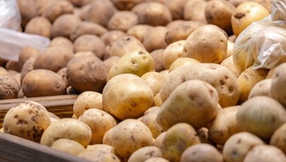 Ziemniaki z Zachodu zalewają Polskę. 