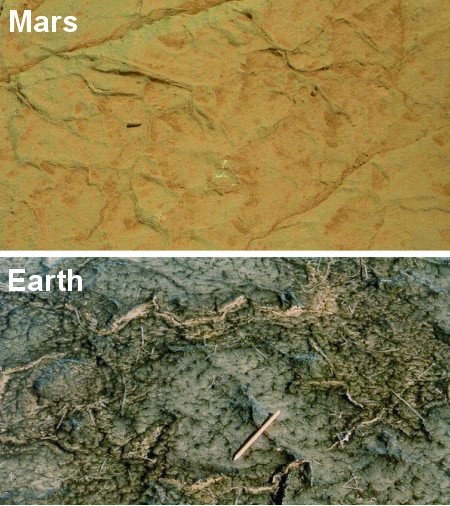 Ziemskie środowiska mikroorganizmów i ich porównanie do potencjalnych skamieniałości marsjańskich. /materiały prasowe