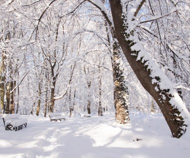 Zima jak za dawnych lat. Poznaliśmy prognozę długoterminową