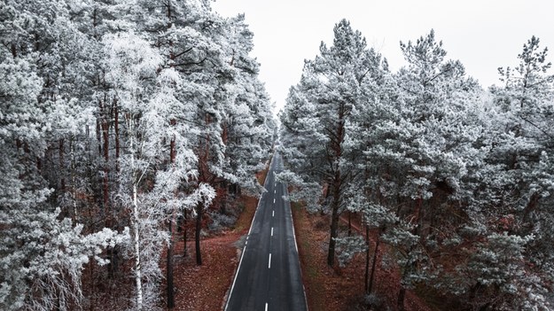 Zima może nadejść już w połowie listopada /Shutterstock