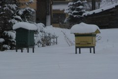 Zima na dobre zawitała do Zakopanego