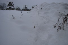 Zima na dobre zawitała do Zakopanego