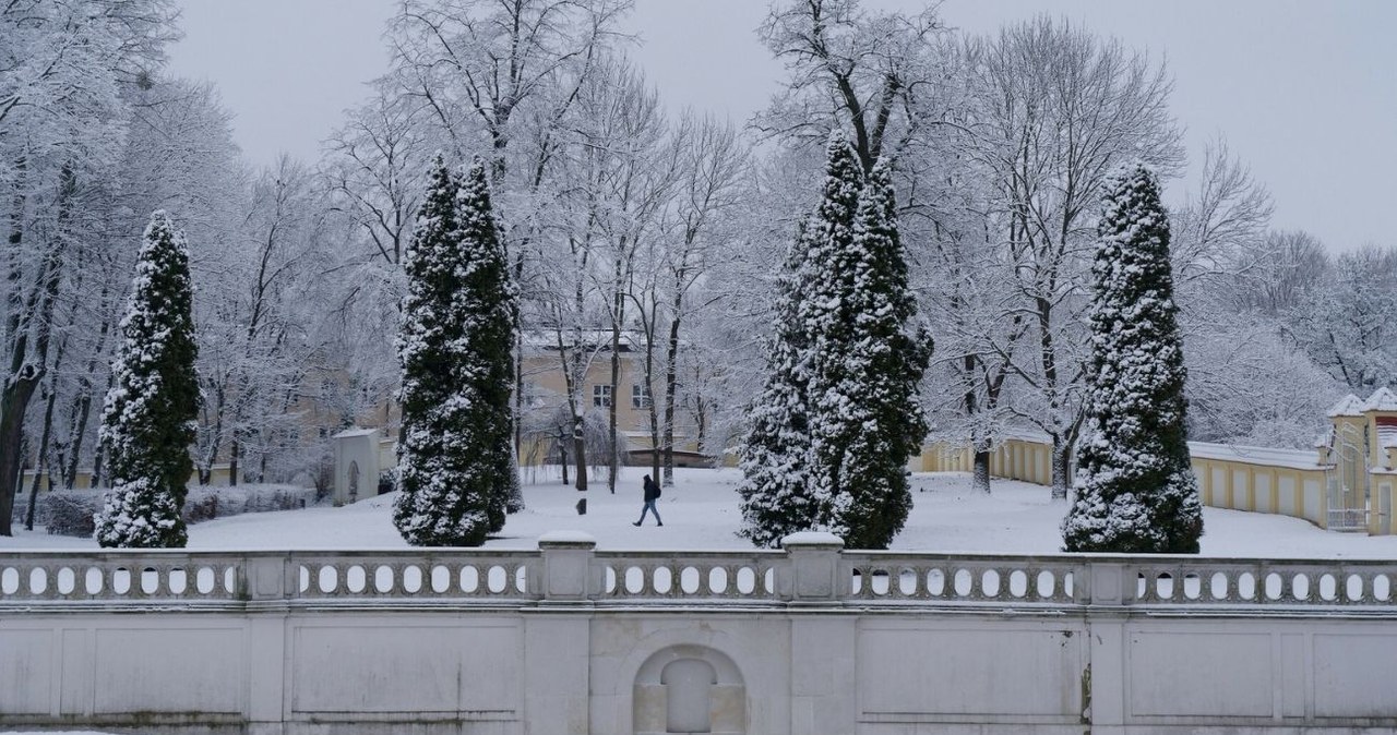 Zimą ogrody Pałacu Branickich oczarowują spokojem i ciszą /Marcin Pawlukiewicz/REPORTER /East News