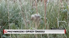 Zima powróciła do Polski. Przymrozki i opady śniegu
