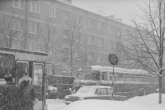 Zima stulecia w Polsce. Galeria