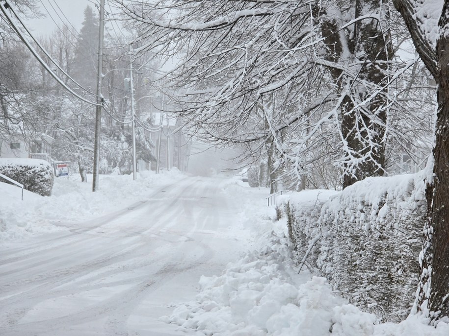 Zima uderza z pełną mocą! Śnieżyce sparaliżują Europę /Shutterstock