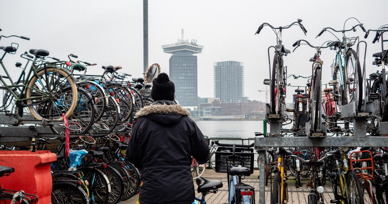 Zima w Amsterdamie /Getty Images