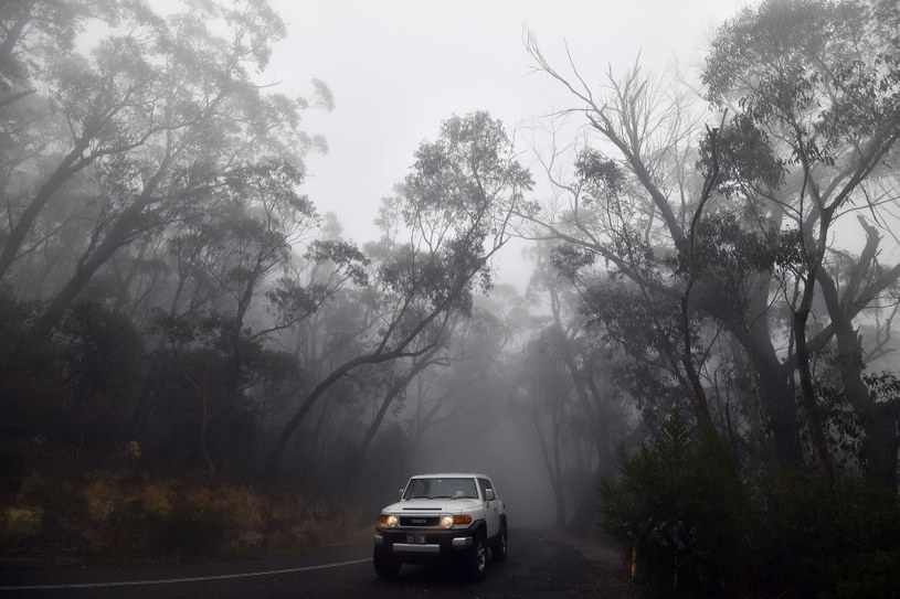 Zima w Australii /AFP