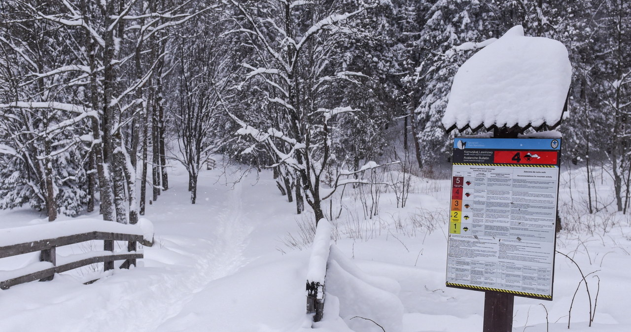 Zima w Kuźnicach w Zakopanem. W całych Tatrach obowiązuje czwarty stopień zagrożenia lawinowego /Jan Niedziałek /PAP