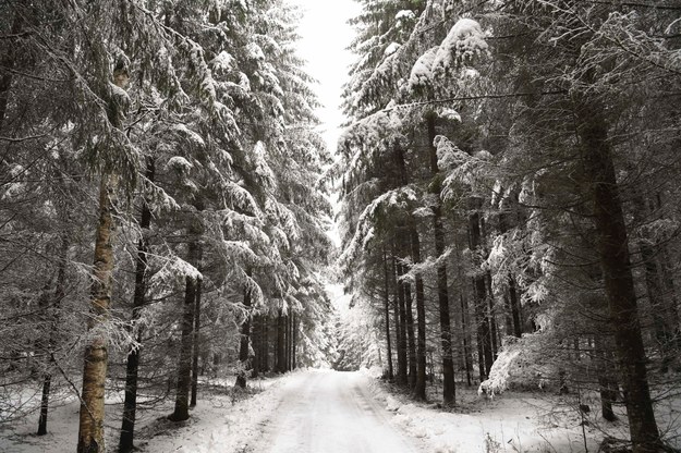 Zima w Lahti /Kimmo Brandt /PAP/EPA