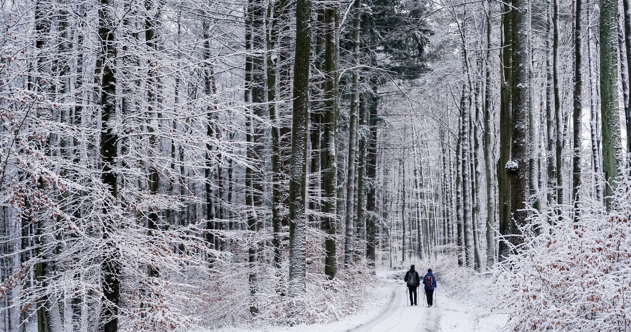 Zima w Polsce. W nocy przyjdzie nagłe ochłodzenie /Mirosław Pieślak /Agencja FORUM