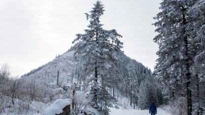 Zima w Tatrach. Wszędzie biało i zagrożenie lawinowe 