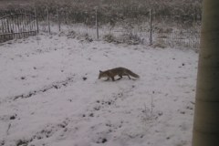 Zima w Waszych obiektywach