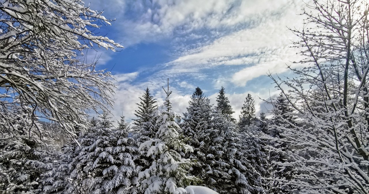 Zimą Wisła zachwyca malowniczymi widokami /East News