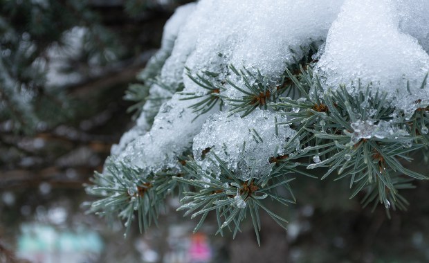 ​Zima wróci na ostatni weekend ferii. Śnieg w całym kraju