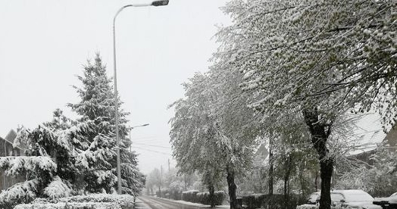 Zima wróciła na Opolszczyznę i Dolny Śląsk