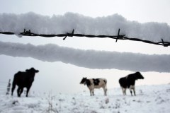 Zima zaskoczyła także mieszkańców Niemiec i Szwajcarii