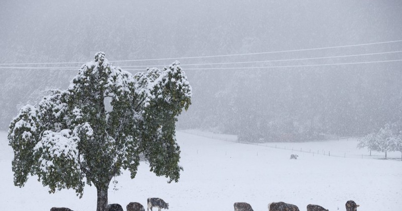 Zima zaskoczyła także mieszkańców Niemiec i Szwajcarii