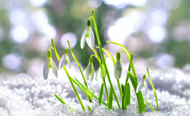 Zima znowu wróci do Polski