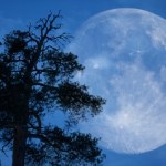 Zimny Księżyc przyniesie tym znakom zodiaku pomyślność. Jesteś wśród szczęśliwców?