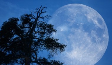 Zimny Księżyc przyniesie tym znakom zodiaku pomyślność. Jesteś wśród szczęśliwców?