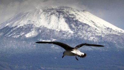 Zimny wiatr znad Rosji. Włochy zasypane