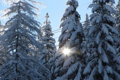 Zimowa aura w Tatrach