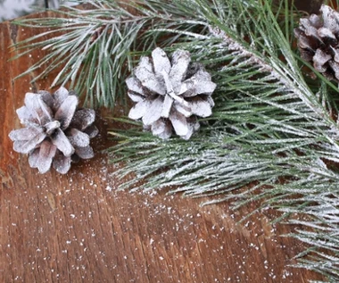 Zimowa dekoracja za grosze robi furorę w sieci. Potrzebujesz tylko 2 składników  