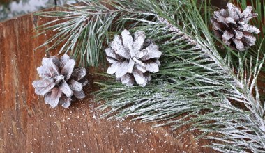 Zimowa dekoracja za grosze robi furorę w sieci. Potrzebujesz tylko 2 składników  