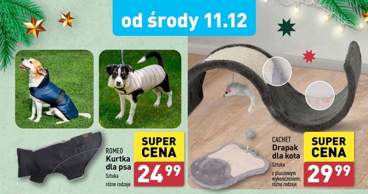 Zimowa pomoc dla ptaków zaczyna się w Aldi! Niskie ceny na karmę! /Aldi.pl /INTERIA.PL