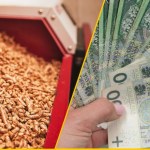 Zimowy koszmar właścicieli kotłów: Pellet znika ze składów, ceny szybują