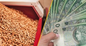 Zimowy koszmar właścicieli kotłów: Pellet znika ze składów, ceny szybują