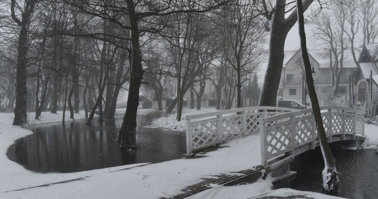 Zimowy spacer wzdłuż Potoku Oliwskiego jest wspaniałą przygodą /Maciej Kosycarz/KFP/REPORTER /East News