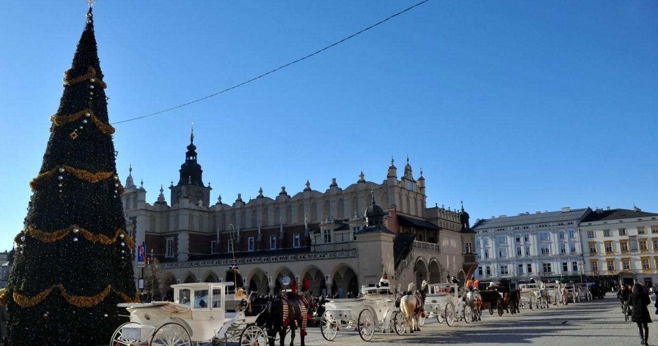 Zimy w Polsce z każdym rokiem są coraz cieplejsze / MAREK LASYK/REPORTER  /East News
