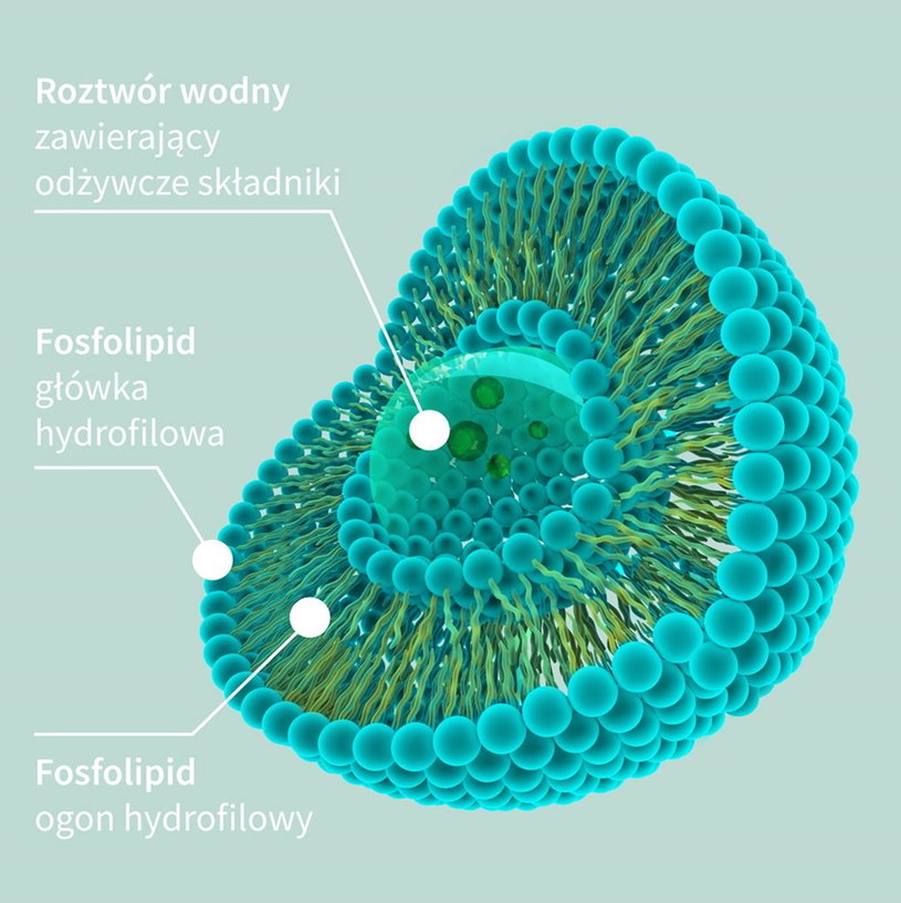 Zjawisko enkapsulacji liposomów to innowacyjna technologia /.