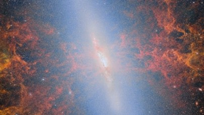 Zjawiskowe zdjęcia Galaktyki Cygaro! Gwiazdy powstają tam dziesięciokrotnie szybciej