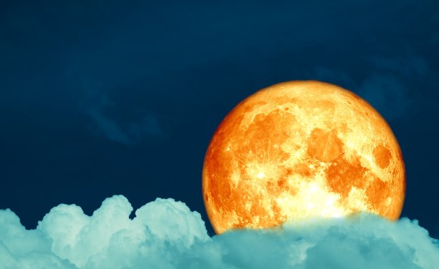 Zjawiskowy spektakl na niebie. Pełnia Mroźnego Księżyca