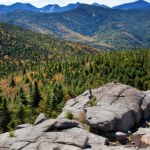 grzybki halucynogenne Zjedli grzybki halucynogenne i wyobrazili sobie, że kolega nie żyje