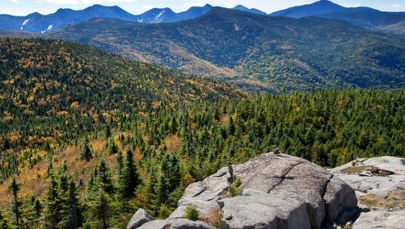 Zjedli grzybki halucynogenne i wyobrazili sobie, że kolega nie żyje