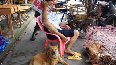 Zjedli mięso psa zarażonego wścieklizną. Są pod obserwacją