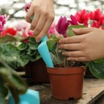 Zjedz miąższ, a ze skórek zrób nawóz do roślin. Lada chwila utoną w kwiatach