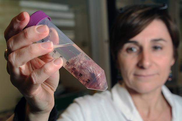 Zjedzenie mięsa zwierzęcia karmionego mączkąmoże doprowadzić człowieka do śmierci /AFP